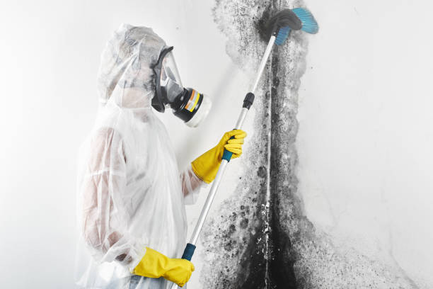 Best Mold Removal for HVAC Installations  in Emerald Lakes, PA