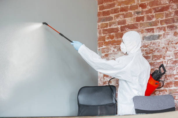 Best Basement Mold Removal  in Emerald Lakes, PA