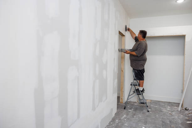 Best Mold Odor Removal Services  in Emerald Lakes, PA